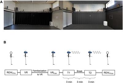 Sinusoidal Optic Flow Perturbations Reduce Transient but Not Continuous Postural Stability: A Virtual Reality-Based Study